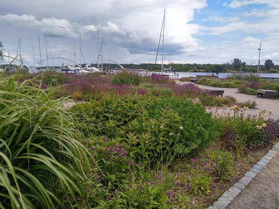 Fyra Arstiders Park