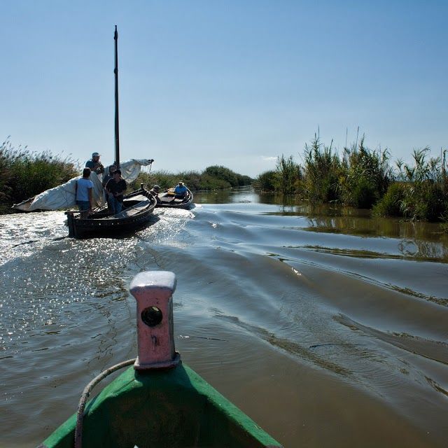 Albufera de Valencia