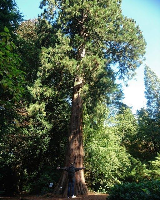 Landgoed Schovenhorst