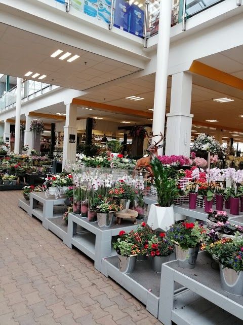 Garden Center Oosterik