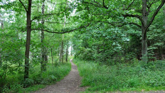 Ättekulla Naturreservat