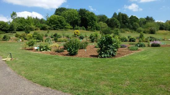 Jardin botanique du Montet