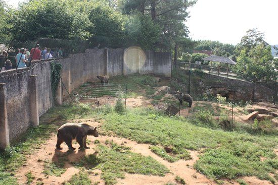 Prehistoric Site of Regourdou