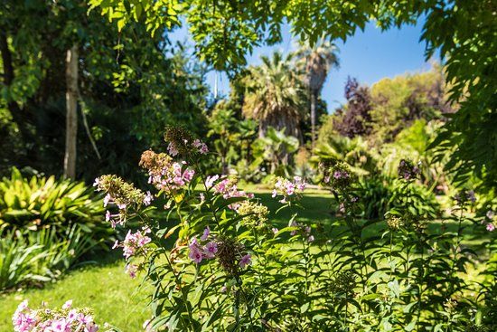 Le Jardin des Plantes