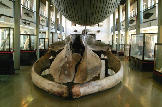 Sandefjord museum