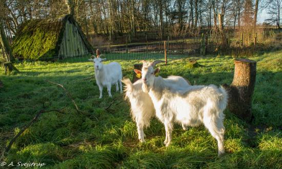 Museumsgården Karensminde