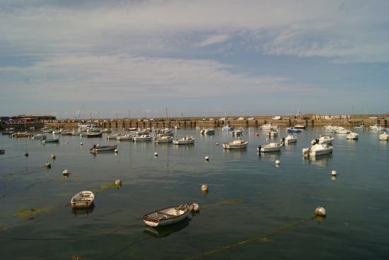 Le Comptoir des Algues