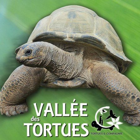 La Vallee des Tortues