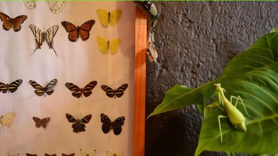 Museo vivo de Malinalco