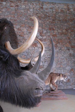 Museum of Prehistory of the Gorges du Verdon