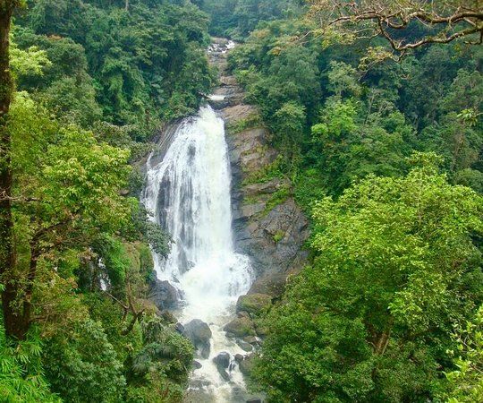 Attukad Waterfall
