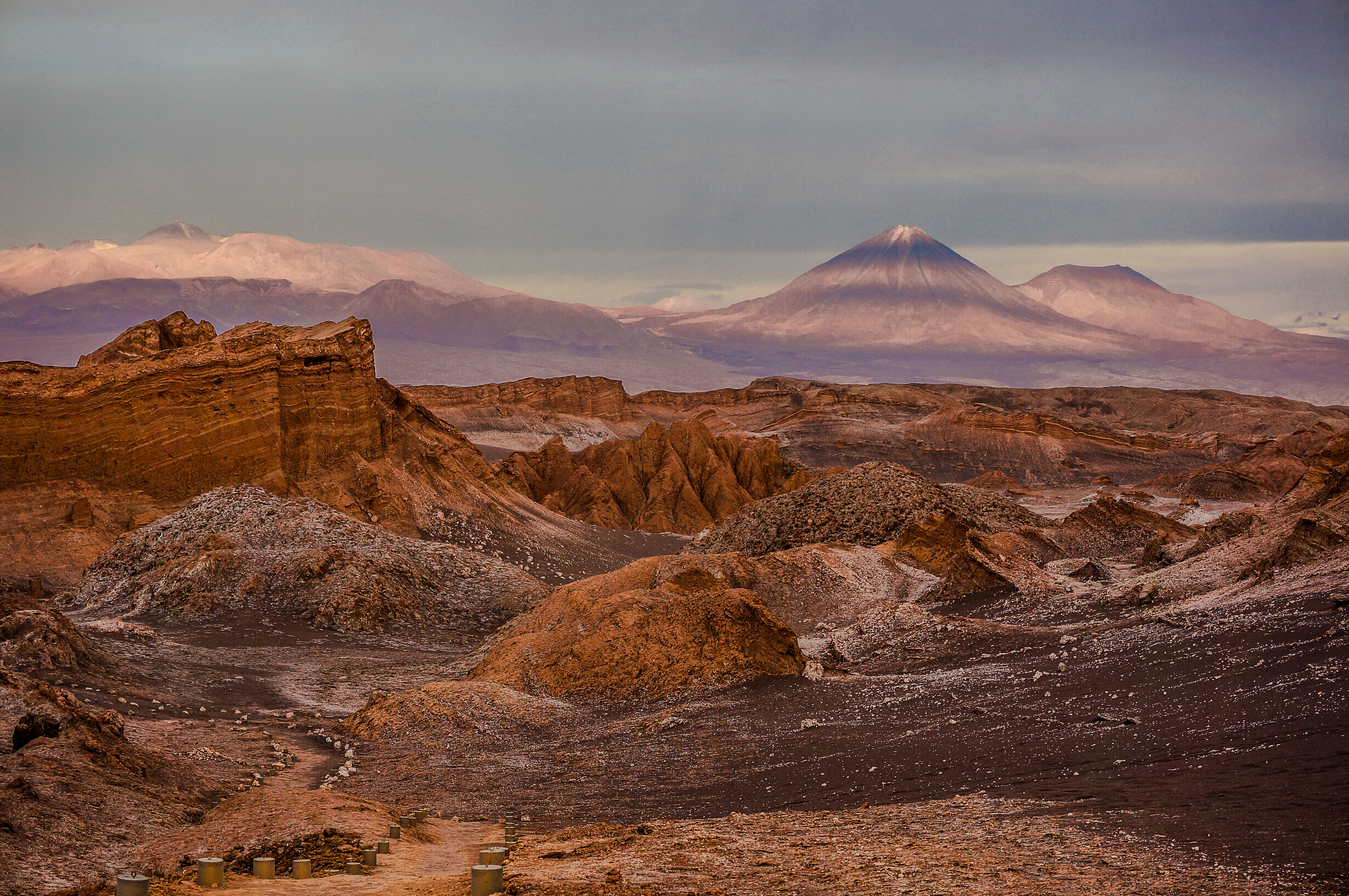 Reserva Nacional Los Flamencos