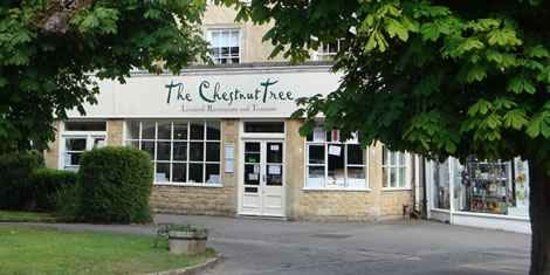 The Chestnut Tree