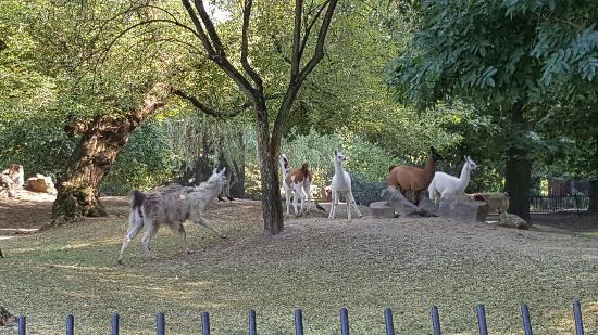 Dierentuin van Warschau