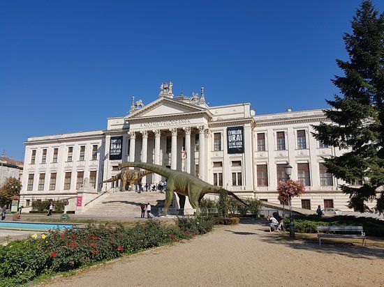 Móra Ferenc Múzeum