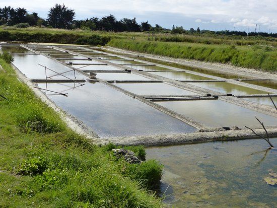 Marais salants de la Vie