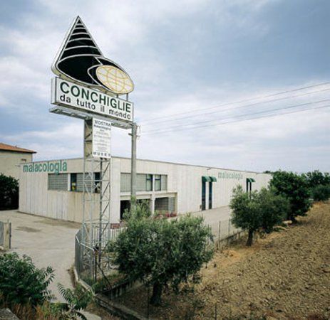 Museo malacologico piceno