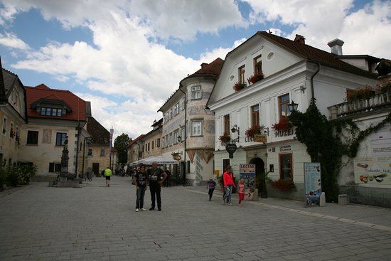Sivec House Gallery