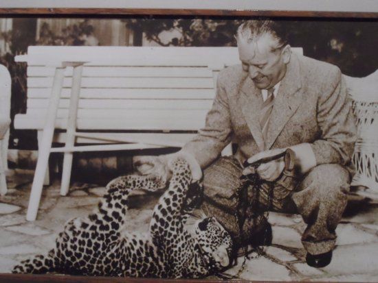 Tito's Museum