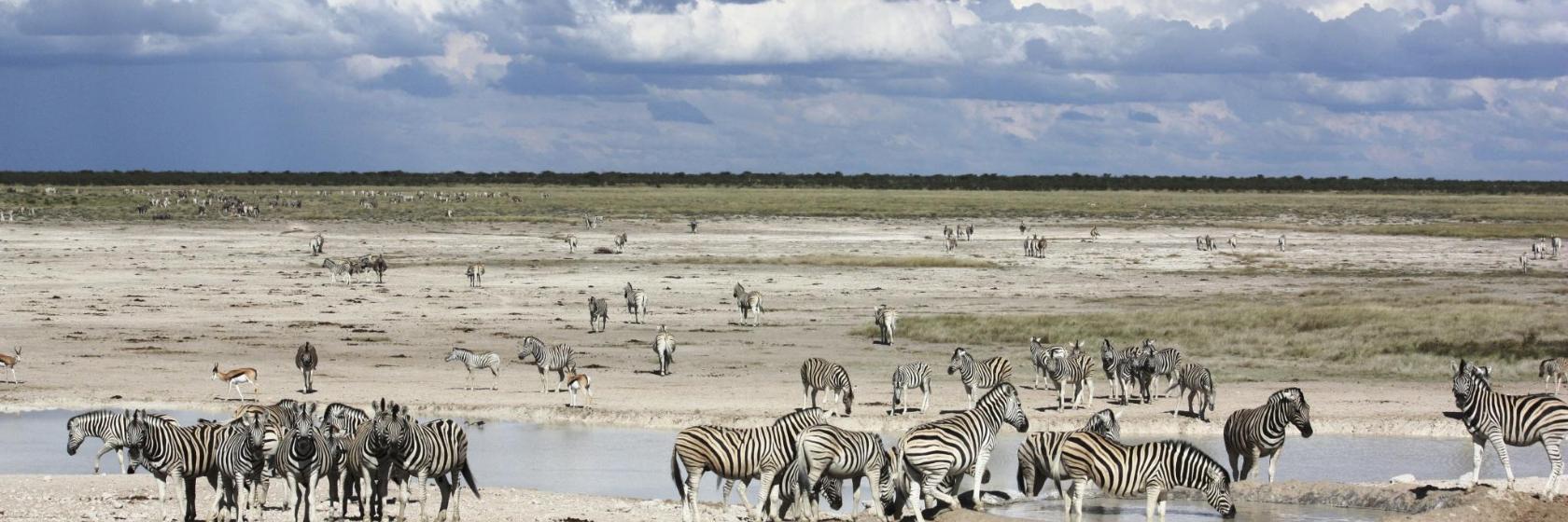 Puerta Anderson del Parque Nacional Etosha