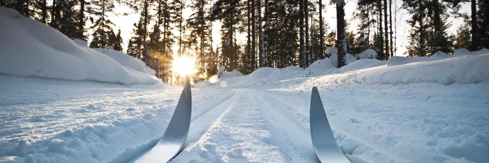 Lugnet Sports Centre