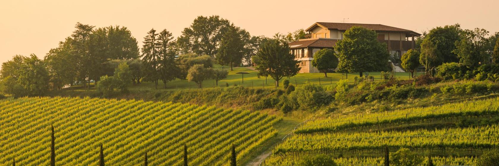 Waterpark Pico Verde