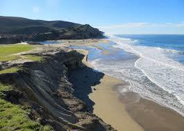 San Gregorio State Beach