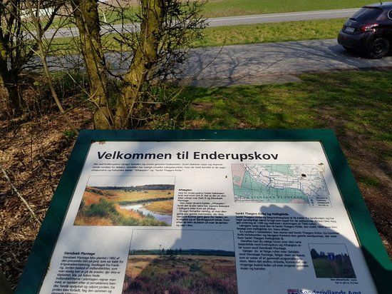 Aftaegten Enderupskov
