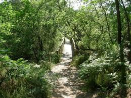 Naturschutzgebiet Courant d'Huchet