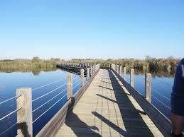 Etang du Mejean