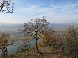 Hegyes-tető