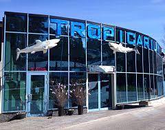 Kolmardens Tropicarium