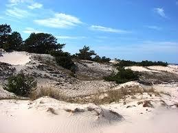 Helskie Dunes Nature Reserve
