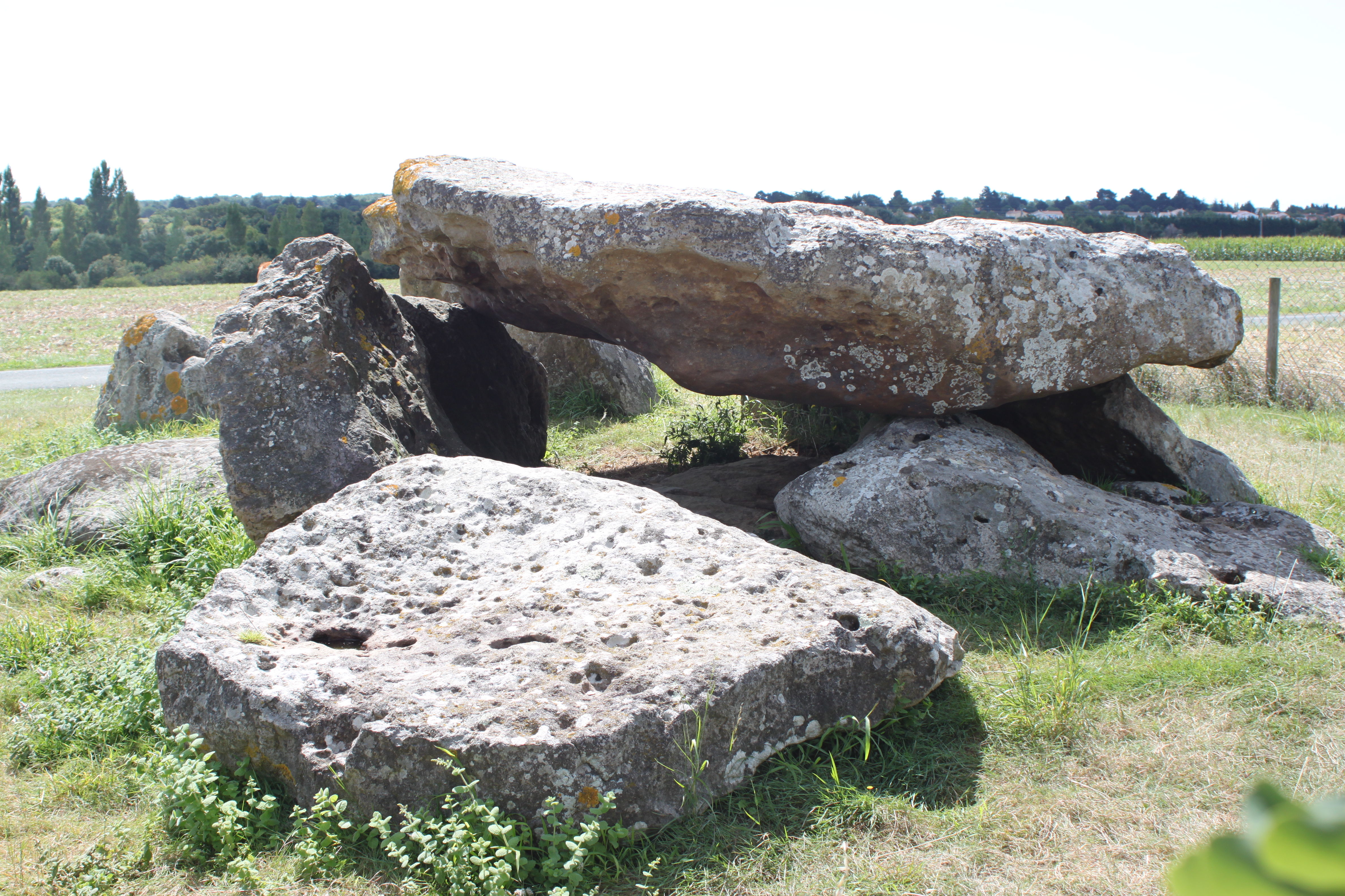 Dolmen du Grand-Bouillac