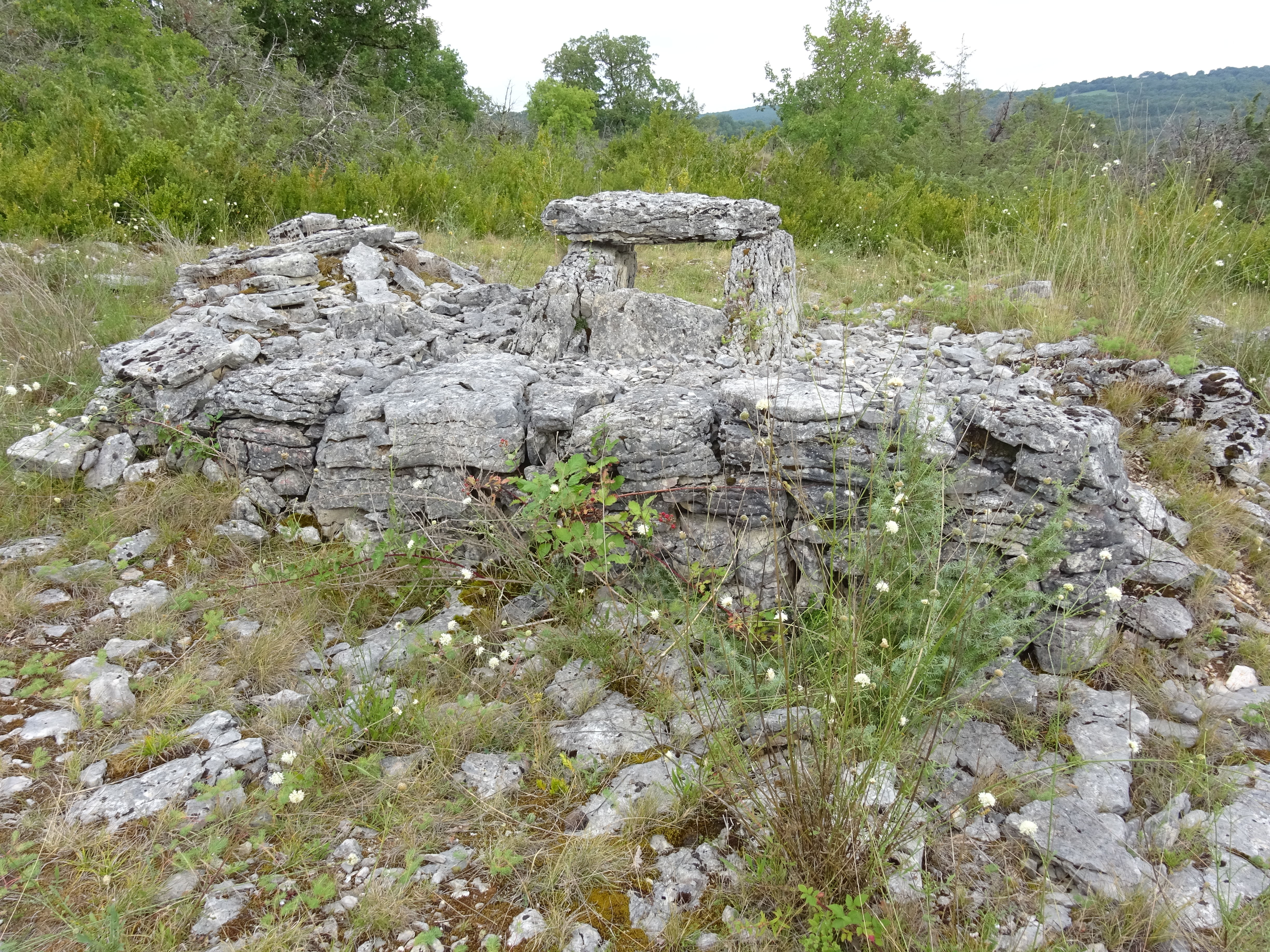 Dolmen de la Deveze