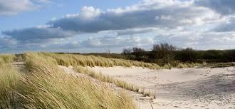Natuurgebied Zwanenwater