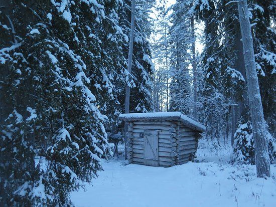 Forstmuseum Lappland
