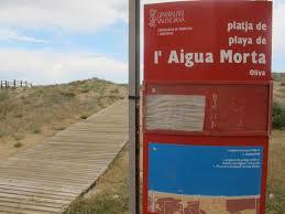 Platja D 'aigua Morta