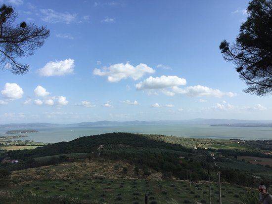 Castello di Montegualandro