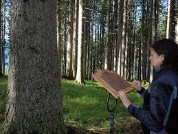 Il Bosco Che Suona
