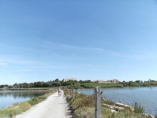Cathédrale de Maguelone