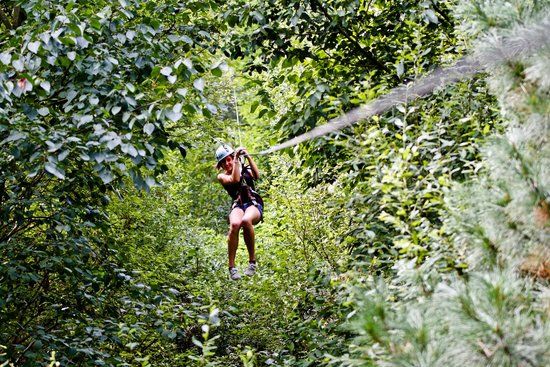 Parc d'aventures et Paintball