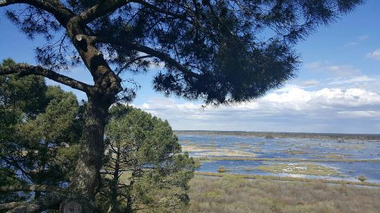 Réserve Naturelle de l'Etang de Cousseau