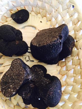 La Truffe en Périgord