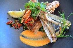 Seafood Restaurant Helder