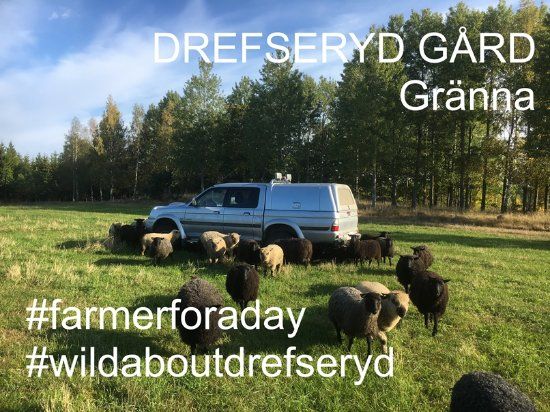Drefseryd Gard