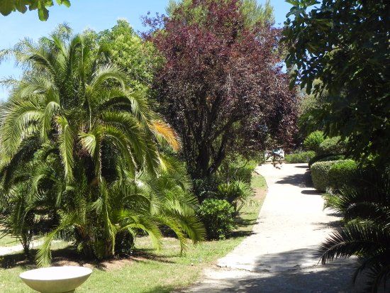 Parc Areca Jardin Botanique