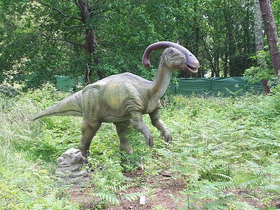 Dinosaures Parc