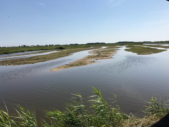 NABU Wasservogelreservat Wallnau