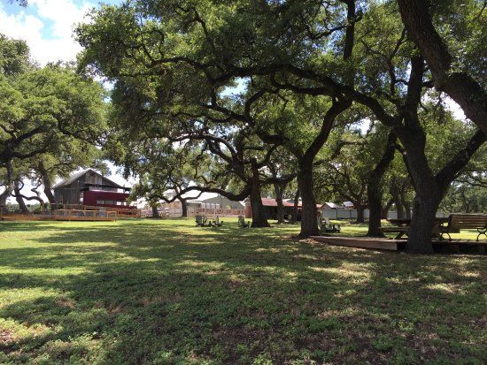 Wimberley Valley Winery